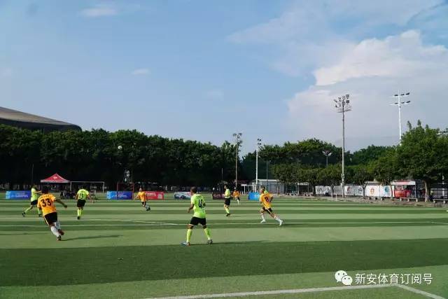 中国女篮和三人女篮共18人获体育运动荣誉奖章